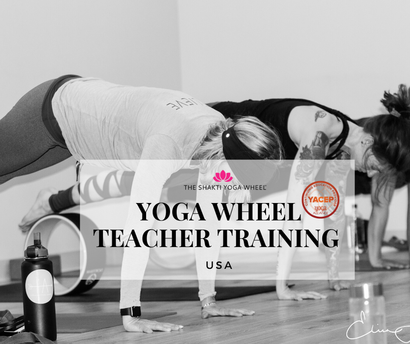 Shakti Yoga Wheel® Intensive Teacher Training - USA