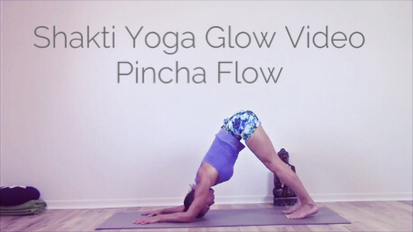 Video 3 - Shakti Yoga Glow Videoserie -  "Pincha Flow" (Core Strength & Inversions) - The Shakti Yoga Wheel